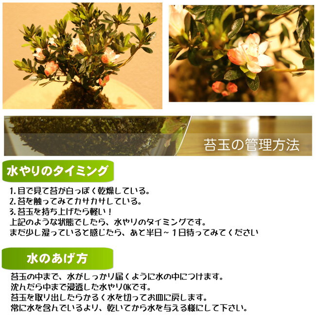 ��ͷ�Ρ���α�ƥĥĥ����ݶ̡������ָ��դϡ־�Ǯ�ס����ն衡����