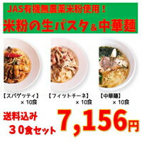 全国お取り寄せグルメ新潟麺類No.17