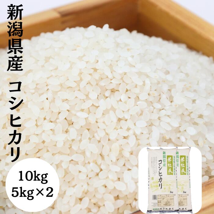 【米杜氏】新潟県産コシヒカリ5kg×2【送料無料】令和6年産 精米