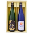 日本酒 新潟 佐渡の酒 北雪酒造 北雪 500ml×2本セット 北雪 純米大吟醸NOBU 北雪 純米大吟醸NOBU TK40 【送料無料】【お酒/地酒/新潟/プ...