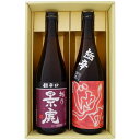 日本酒 越乃景虎と新潟の地酒 想天坊 飲み比べギフトセット 越乃景虎 超辛口 想天坊 じゃんげ 極辛(ごくから) 720ml×2本 送料無料【日本酒/地酒/新潟...