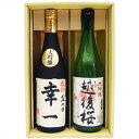 名入れ 日本酒 越後桜 大吟醸 越路吹雪 大吟醸 名前入れ ギフトセット 720ml×2本 送料無料 書道師範が手書きする大吟醸酒と新潟地酒ギフト セット 令和