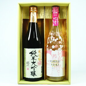 季節限定 日本酒 飲み比べセット 越路吹雪 純米吟醸 と 越後桜 純米大吟醸 720ml×2本ギフトセット 送料無料