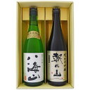 日本酒 新潟 飲み比べ 純米大吟醸 八海山と朝日山 純米大吟醸 越淡麗 ギフトセット720ml×2本 送料無料