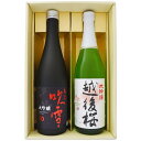 日本酒 新潟 越後桜と新潟の大吟醸酒 飲み比べ セット 720ml×2本 大吟醸 越後桜 越路吹雪 大吟醸50 2本 送料無料