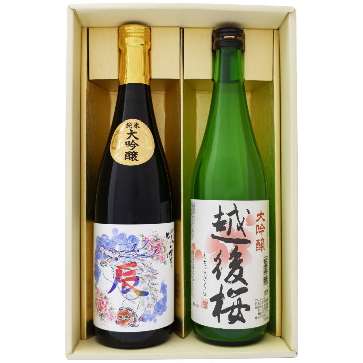 日本酒 新潟 越路吹雪 干支「辰」ラベルと越後桜 飲み比べ 720ml×2本セット 越路吹雪 純米大吟醸干支「辰」2024年イラストラベル 大吟醸 越後桜 送料無料