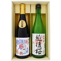 日本酒 新潟 越路吹雪 干支「辰」ラベルと越後桜 飲み比べ 720ml×2本セット 越路吹雪 純米大吟醸干支「辰」2024年イラストラベル 大吟醸 越後桜 送料無料