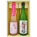 日本酒 【春限定】越路吹雪 純米吟醸酒 春ボトルと大吟醸 越後桜 720ml×2本 ギフトセット