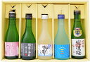 日本酒 新潟の地酒 飲み比べセット 300ml×5本 送料無料