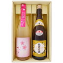 日本酒 飲み比べセット 【春限定】越路吹雪 純米吟醸 春ボトルと越乃寒梅 別撰 吟醸 720ml×2本ギフトセット 送料無料【お酒/地酒/新潟/プレゼント/誕生...