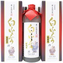 焼酎 長期甕貯蔵 白ふくろう 麦焼酎 25度 720ml×6本セット 送料無料