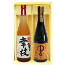 名入れ 梅酒と焼酎ギフト 中々 麦焼酎 名前入れ越路吹雪梅酒 720ml 2本 送料無料 書道師範の手書き名前入り 梅酒 お酒 地酒 sake 新潟 オリジナルラベル 和紙ラベル ギフト 贈り物 プレゼント …