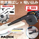 楽天新潟精機セール！ブロワ BW-600PA 600W パオック（PAOCK）【ブロアー ブロワー 吹き飛ばし 落ち葉 屋外 庭 掃除 清掃 車 集塵 集じん 送風機 コンセント DIY ガーデニング】