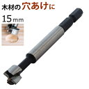 フォスナービット 15mm FB-15 シャンク径6.35mm 六角 新潟精機 【木工用 座ぐりドリル 穴あけ 加工 ホールソー 切削工具 DIY 工具】