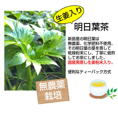 明日葉茶生姜入り