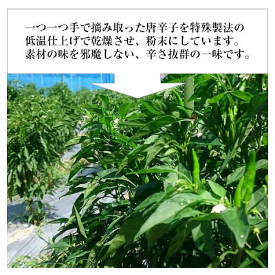 説明1