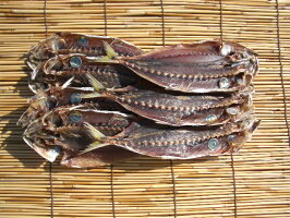製造元池太商店昔ながらの硬干し青むろあじ(1kg)
