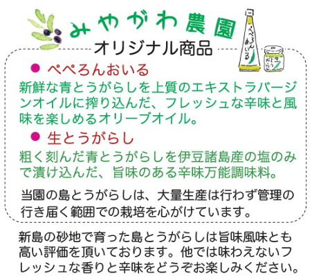 生とうがらし30g×2個