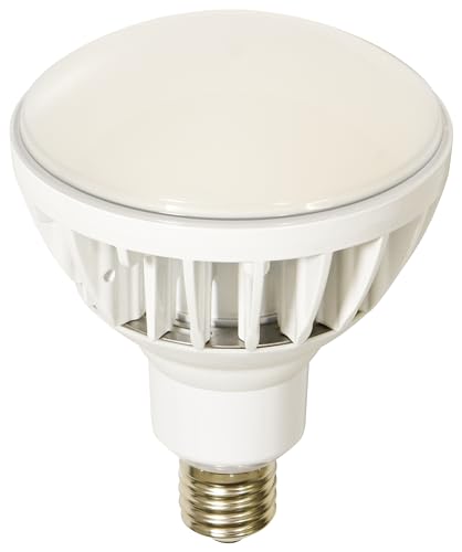 日動工業 LED投光器50W L50V2J110W50K