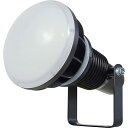 日動 エコビックLED投光器50W 常設型 昼白色 電線1.5m 本体黒 09939 AFL-E50J-BK