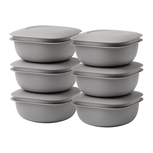 ライクイット (like-it) 蒸気であたためる冷凍ごはん容器 6個組 LBK-21 6P セット グレー 一膳分(160?200g) 水切れ