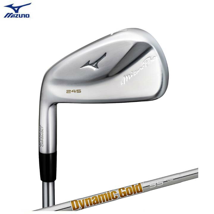 ߥ /MIZUNO Mizuno Pro 245  6ȡ(No.59PW)(Dynamic Gold 95 ...