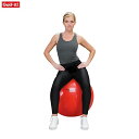 LITE / ライト X-26 フィットネス 筋トレエクササイズボール SDS-55体幹 ダイエット バランスボール【送料無料】