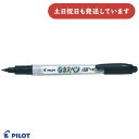 パイロット 油性マーカー なまえペン 細字文房具 文具 筆記具 油性 サインペン 中字 PILOT