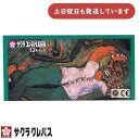 サクラクレパス サクラコンテパステル 12色セット文房具 文具 画材 お絵かき 混色 ぼかし 描画材