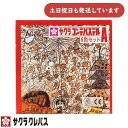 サクラクレパス サクラコンテパステル 6色セットA文房具 文具 画材 お絵かき 混色 ぼかし 描画材