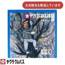 サクラクレパス サクラコンテパステル 6色セットB文房具 文具 画材 お絵かき 混色 ぼかし 描画材