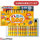 サクラクレパス 水性クレヨン ハニーBee 12色文房具 文具 お絵かき 画材 幼稚園 小学校 子供用