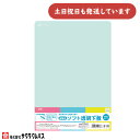 サクラクレパス 硬筆用ソフト透明下敷 A4文房具 文具 軟質 厚手 丈夫 下敷き 小学1年生 小学校 小学生 無地