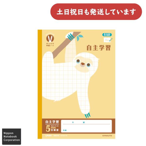 ܥΡ å˥ޥ ߤʤγؽΡ ؽ 5mm B5ʸ˼ ʸ ؽĢ College KYOKUTO 祯ȥ Ρ