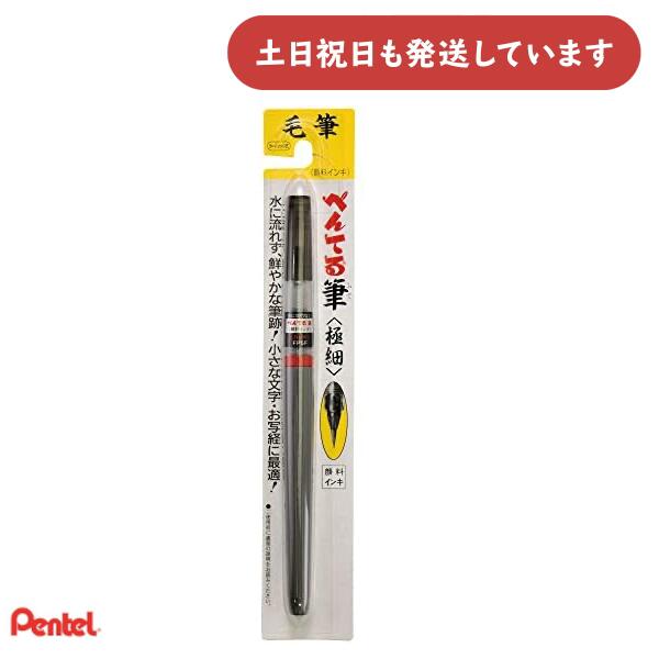ぺんてる ぺんてる筆 顔料インキ 極細 XFP5F文房具 文具 Pentel 筆ペン 耐水 耐光 黒