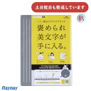 レイメイ 大人の魔法のザラザラ下じき B5 0.3mmドット文房具 文具 美文字 Raymay 方眼 手書き ボールペン シャープペンシル