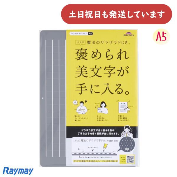 쥤ᥤ ͤˡΥ饶鲼 A5 0.3mmɥåʸ˼ ʸ ʸ Raymay   ܡڥ 㡼ץڥ󥷥