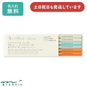 【名入れ無料】ミドリ MD色鉛筆 6本組文房具 文具 筆記具 ギフト デザインフィル おしゃれ グレー 水色 オレンジ 母の日 シンプル