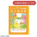 ショウワ ポケットモンスター学習帳 漢字練習帳 104字 十字リーダー入り 文房具 文具 ノート 学童文具 小学校 塾 家庭学習 ポケモン