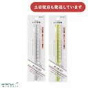 ミドリ レンズ定規 15cm文房具 文具 デザインフィル おしゃれ シンプル ルーラー 計測 拡大鏡 拡大レンズ