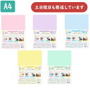 【名入れ無料】共栄プラスチック 透明カラーのしっかりシタ字キ A4文房具 文具 シンプル 書き心地 無地 リバーシブル 下敷き orions 小学生