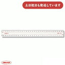 共栄プラスチック メタクリル両切直線定規 30cm 厚さ2mm 文房具 文具 ルーラー 丈夫 透明 ゼロスタート