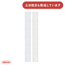 共栄プラスチック 方眼定規 30cm文房具 文具 定規 シンプル 丈夫 ゼロスタート 横目盛 縦目盛 ブルー スモーク