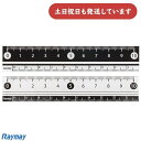 レイメイ 見やすい白黒定規 10cm文房具 文具 定規 丈夫 直線定規 Raymay おしゃれ 小学校 小学生