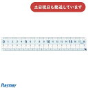 レイメイ 先生おすすめ直定規 18cm文房具 文具 定規 丈夫 直線定規 Raymay 小学校 小学生