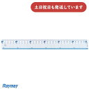 【現品限り】レイメイ はし0メモリ 直定規 30cm文房具 文具 定規 丈夫 直線定規 Raymay 小学校 小学生