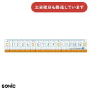 ソニック ナノピタキッズ直線定規 15cm文房具 文具 学童文具 学習 算数 数学 すべらない 小学校 小学生