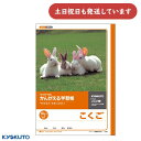 日本ノート かんがえる学習帳 こくご 10マス リーダー入文房具 文具 ノート 国語 うさぎ 動物 KYOKUTO キョクトウ
