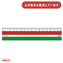 共栄プラスチック マルチチェック定規文房具 文具 ルーラー 受験 暗記 試験 レッド グリーン