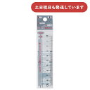 イカリボシ スモーク直線定規 10cm文房具 文具 ルーラー 丈夫 シンプル